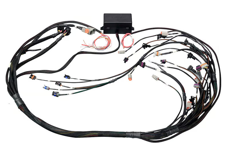 Elite 2500 GM GEN IV LSx (LS2/LS3 etc) DBW Ready Terminated Harness (EV1)