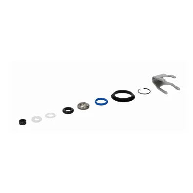 INJECTOR SERVICE KIT GDI MERCEDES SUITS FIV7009