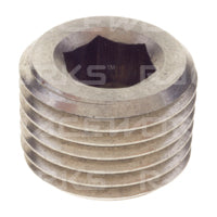 Raceworks In Hex NPT Plugs