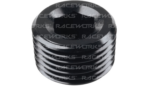 Raceworks In Hex NPT Plugs