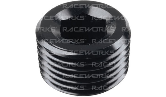 Raceworks In Hex NPT Plugs
